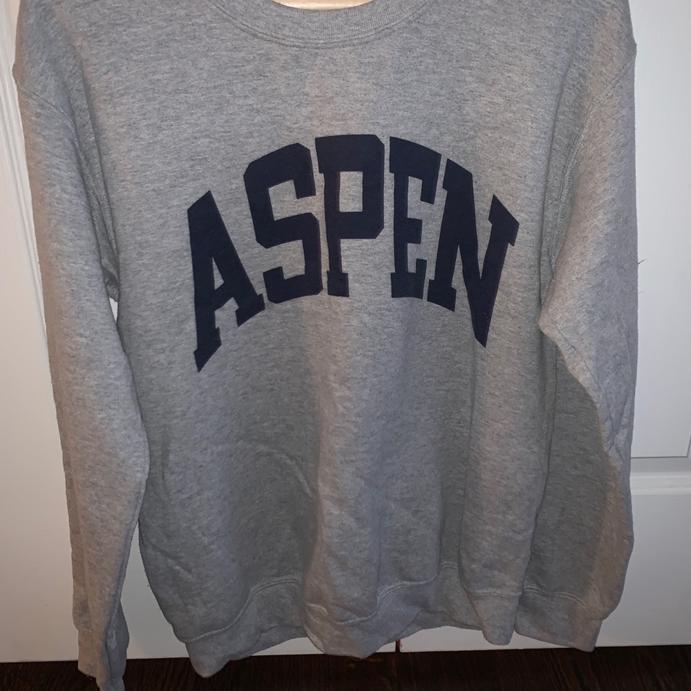 Aspen sweatshirt. Gildan brand size small.